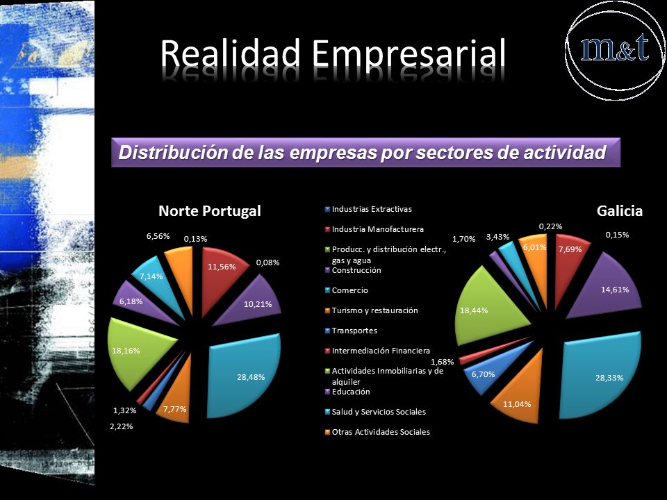Realidad Empresarial Distribución de las empresas por sectores de actividad