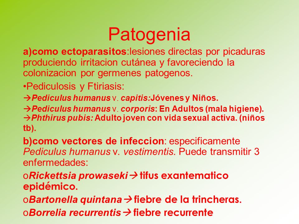 Patogenia a)como ectoparasitos:lesiones directas por picaduras produciendo irritacion cutánea y favoreciendo la colonizacion por germenes patogenos.