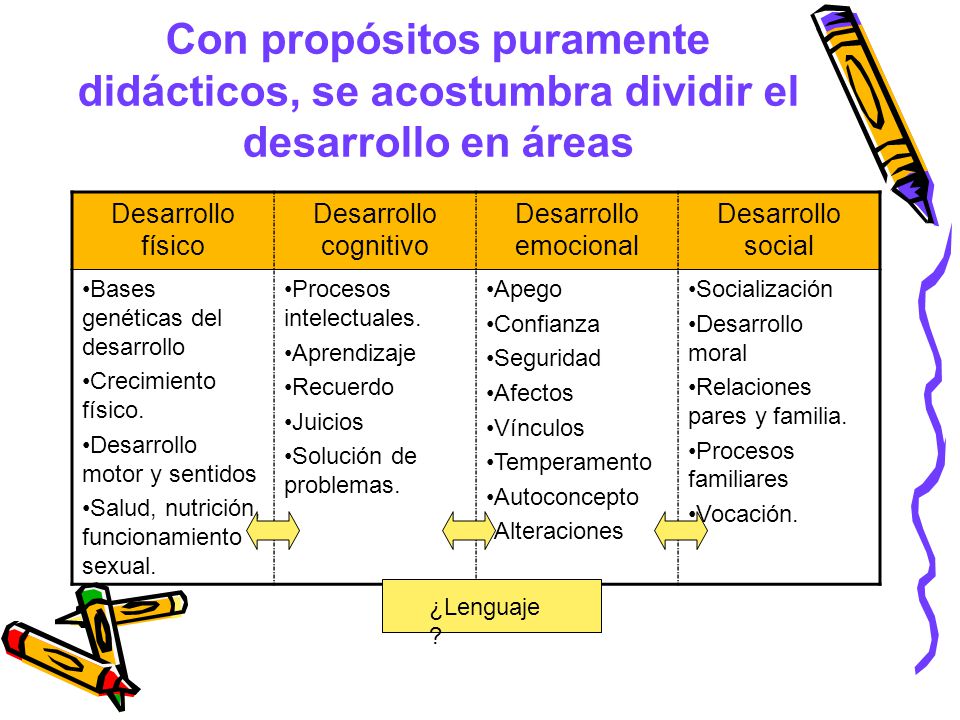 Con propósitos puramente didácticos, se acostumbra dividir el desarrollo en áreas