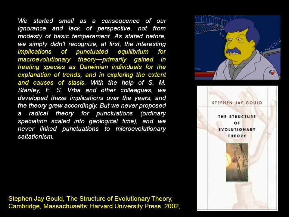 We started small as a consequence of our ignorance and lack of perspective, not from modesty of basic temperament. As stated before, we simply didn t recognize, at first, the interesting implications of punctuated equilibrium for macroevolutionary theory—primarily gained in treating species as Darwinian individuals for the explanation of trends, and in exploring the extent and causes of stasis. With the help of S. M. Stanley, E. S. Vrba and other colleagues, we developed these implications over the years, and the theory grew accordingly. But we never proposed a radical theory for punctuations (ordinary speciation scaled into geological time), and we never linked punctuations to microevolutionary saltationism.
