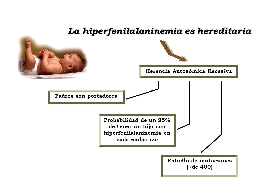 La hiperfenilalaninemia es hereditaria