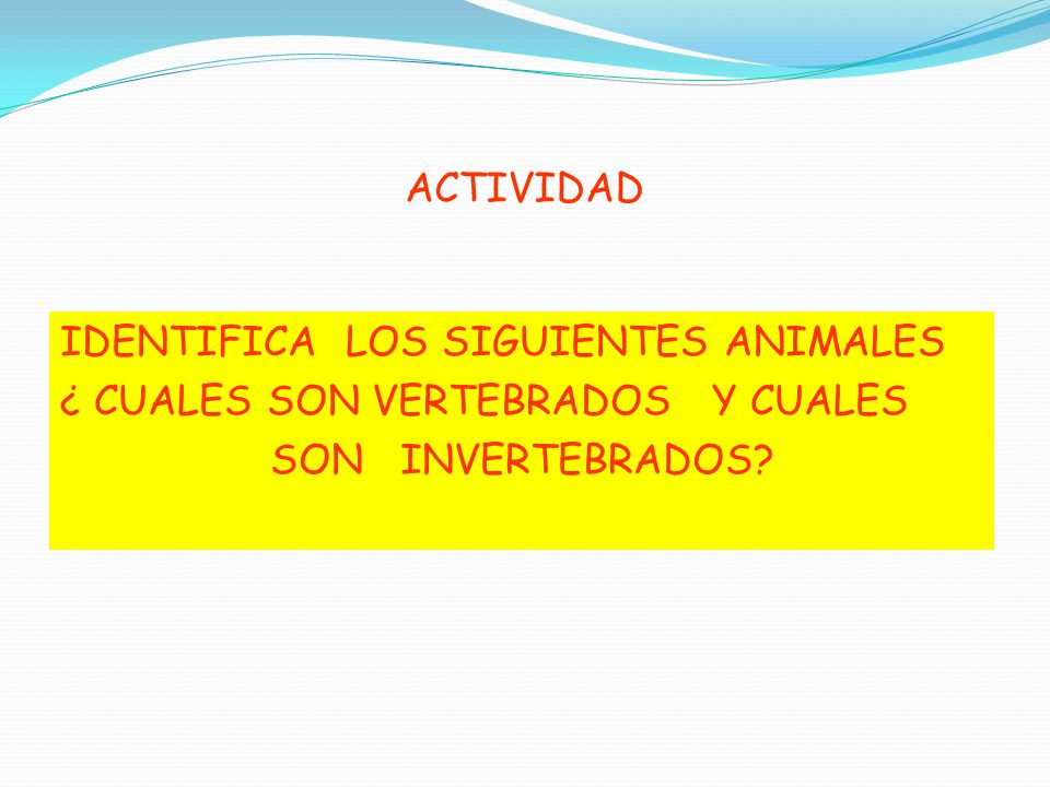 ACTIVIDAD IDENTIFICA LOS SIGUIENTES ANIMALES ¿ CUALES SON VERTEBRADOS Y CUALES SON INVERTEBRADOS