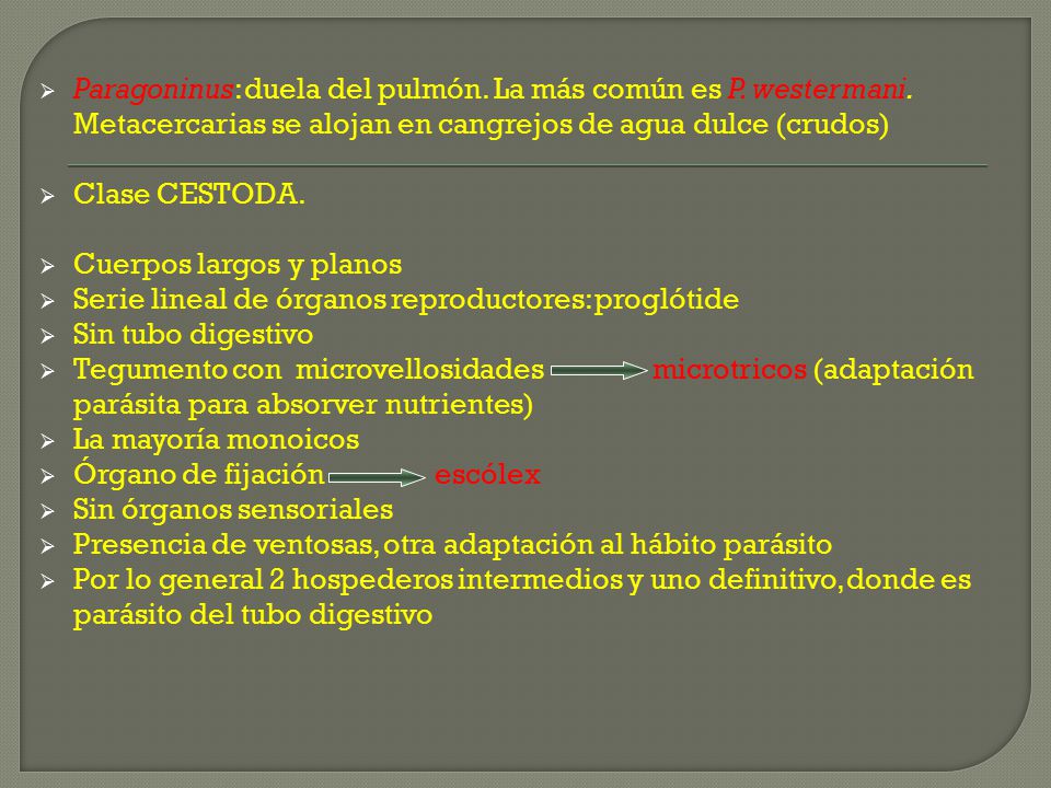 Paragoninus: duela del pulmón. La más común es P. westermani