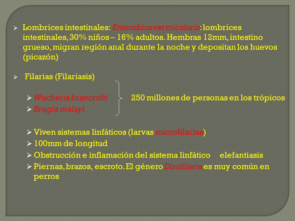 Lombrices intestinales: Enterobius vermicularis: lombrices intestinales, 30% niños – 16% adultos. Hembras 12mm, intestino grueso, migran región anal durante la noche y depositan los huevos (picazón)