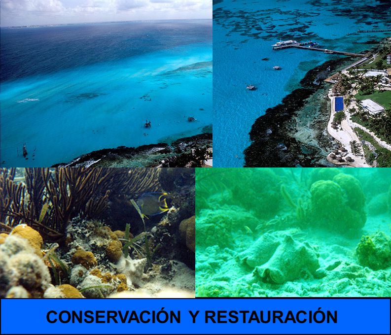 CONSERVACIÓN Y RESTAURACIÓN