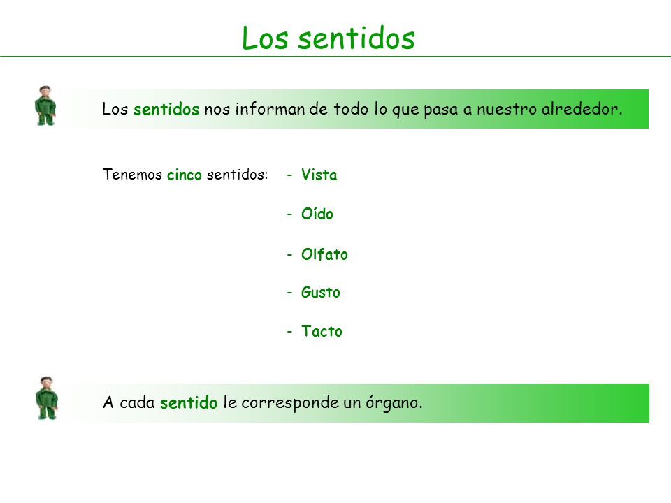 Los sentidos Los sentidos nos informan de todo lo que pasa a nuestro alrededor. Tenemos cinco sentidos: