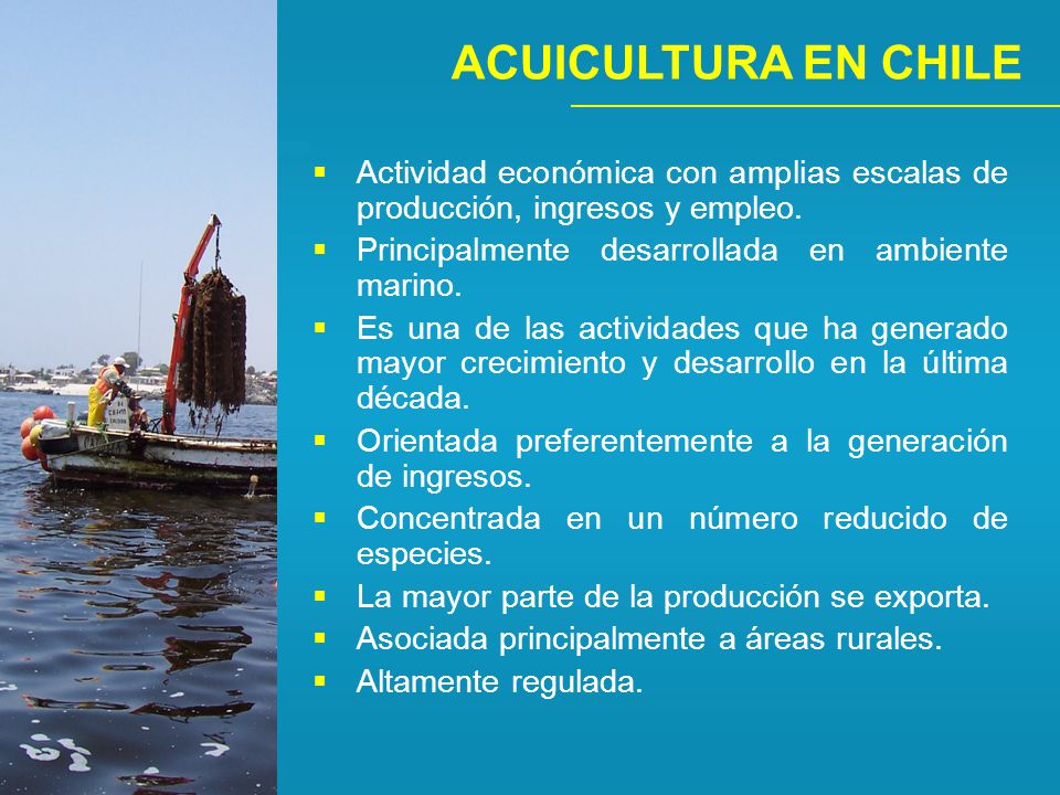 ACUICULTURA EN CHILE Actividad económica con amplias escalas de producción, ingresos y empleo. Principalmente desarrollada en ambiente marino.