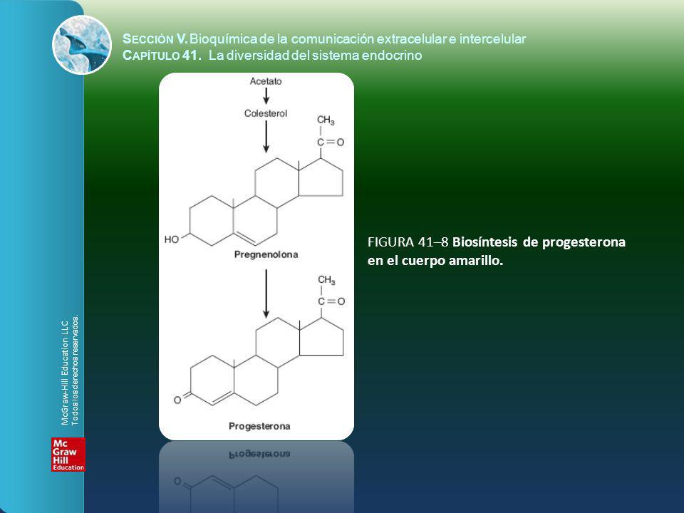 FIGURA 41–8 Biosíntesis de progesterona en el cuerpo amarillo.