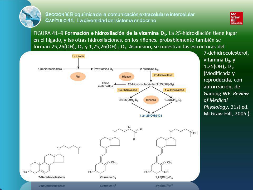 Sección V. Bioquímica de la comunicación extracelular e intercelular