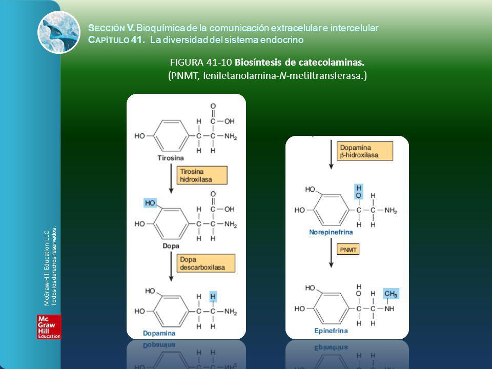 Sección V. Bioquímica de la comunicación extracelular e intercelular