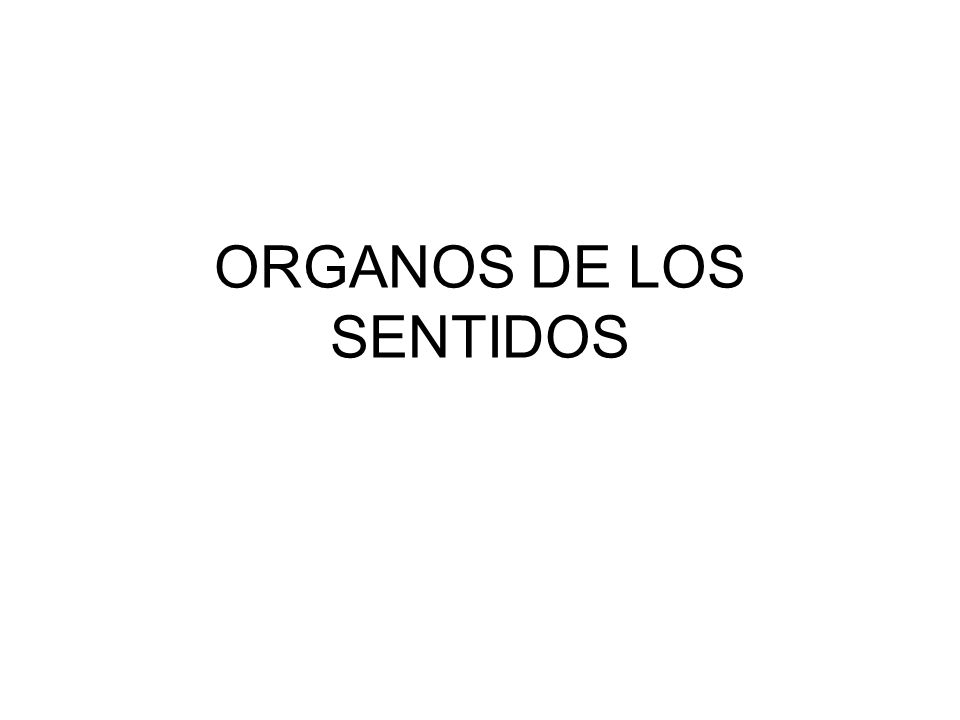 ORGANOS DE LOS SENTIDOS
