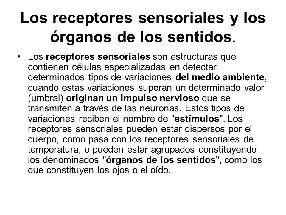 Los receptores sensoriales y los órganos de los sentidos.