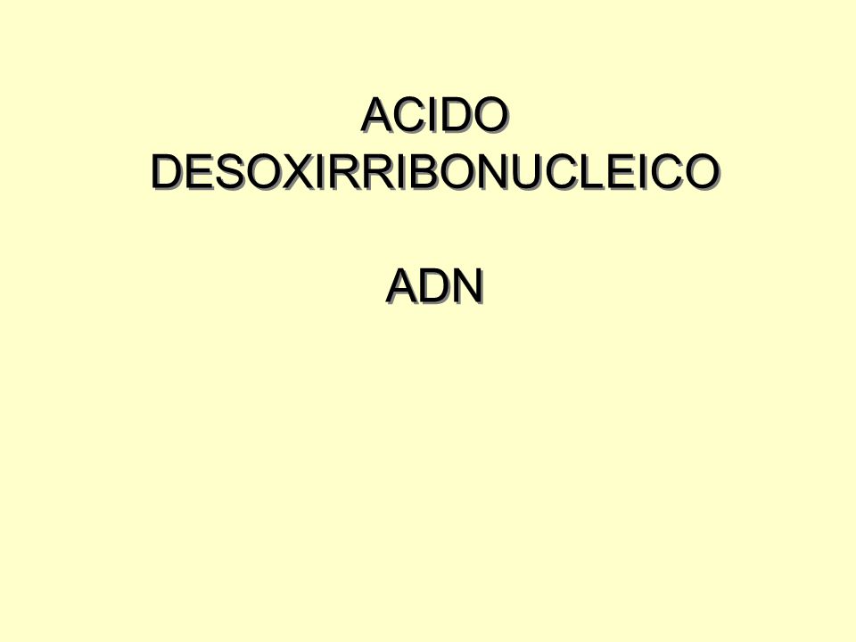 ACIDO DESOXIRRIBONUCLEICO ADN