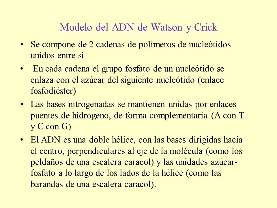 Modelo del ADN de Watson y Crick