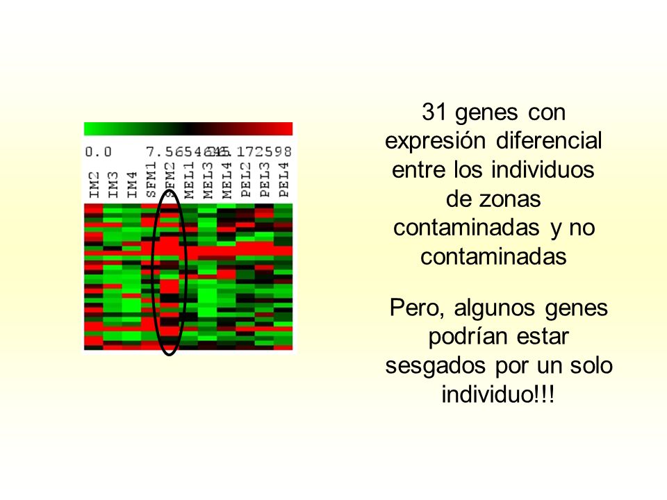 Pero, algunos genes podrían estar sesgados por un solo individuo!!!