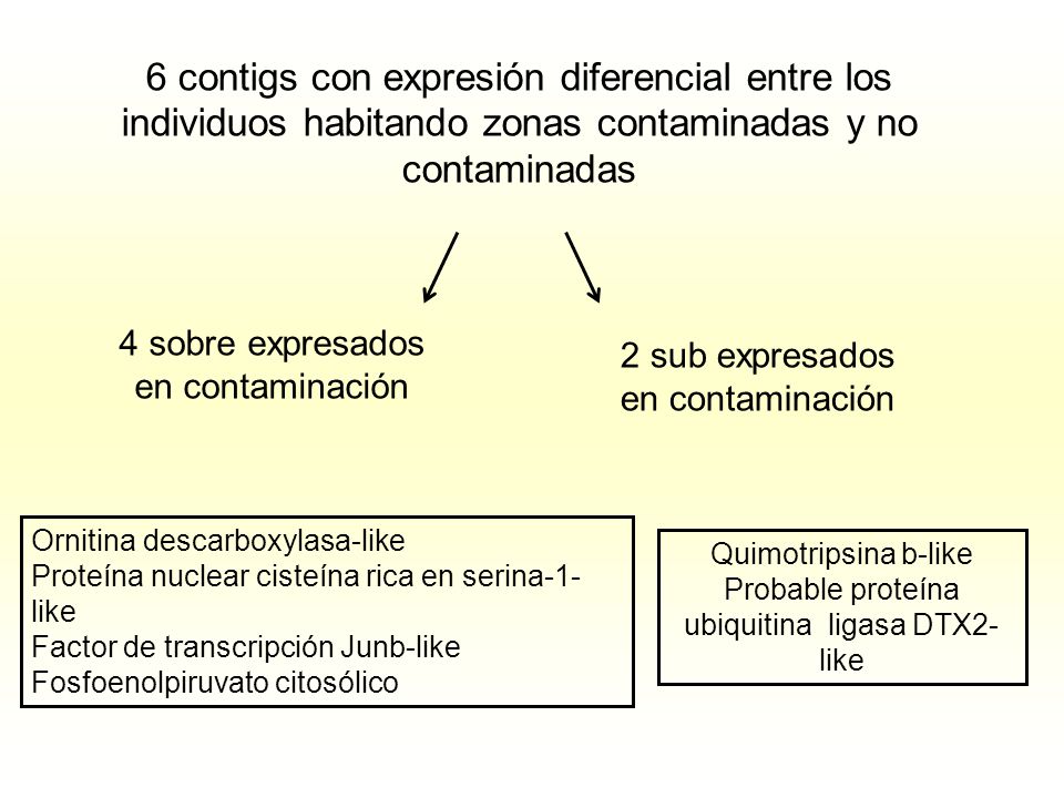 6 contigs con expresión diferencial entre los individuos habitando zonas contaminadas y no contaminadas