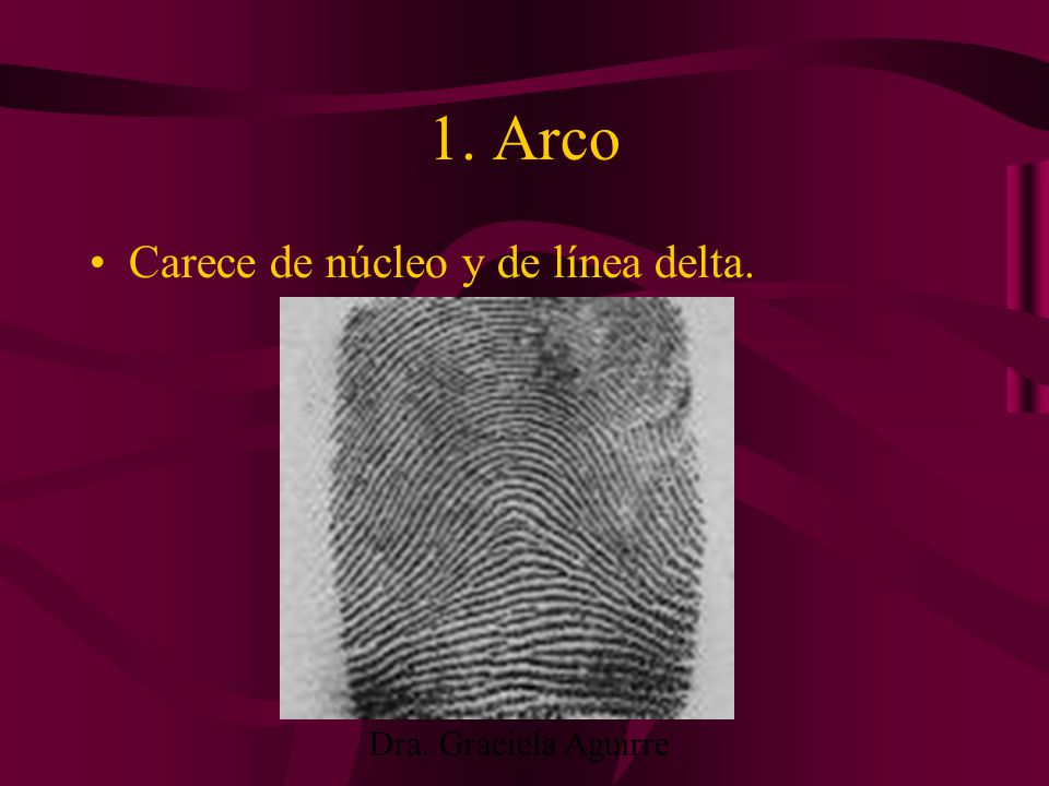 1. Arco Carece de núcleo y de línea delta. Dra. Graciela Aguirre
