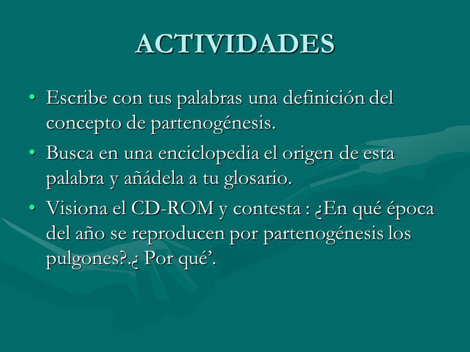 ACTIVIDADES Escribe con tus palabras una definición del concepto de partenogénesis.