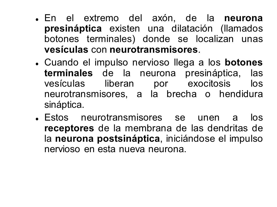 En el extremo del axón, de la neurona presináptica existen una dilatación (llamados botones terminales) donde se localizan unas vesículas con neurotransmisores.