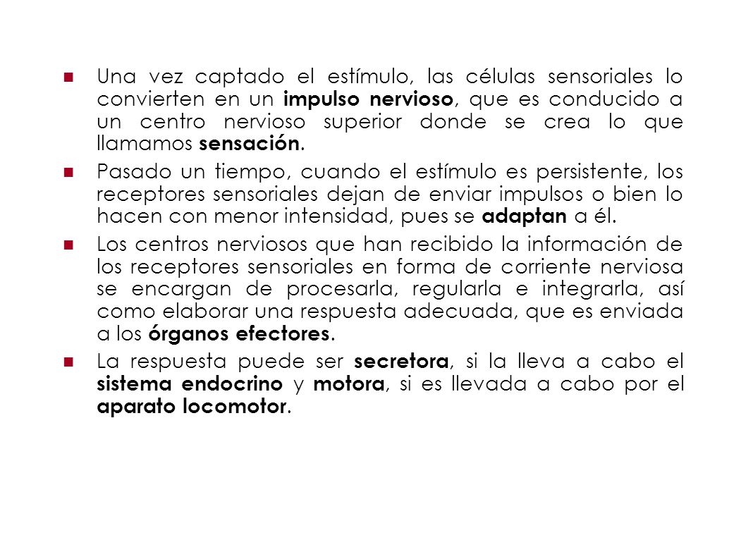 Una vez captado el estímulo, las células sensoriales lo convierten en un impulso nervioso, que es conducido a un centro nervioso superior donde se crea lo que llamamos sensación.