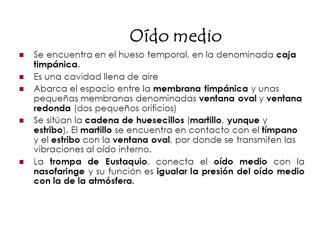 Oído medio Se encuentra en el hueso temporal, en la denominada caja timpánica. Es una cavidad llena de aire.