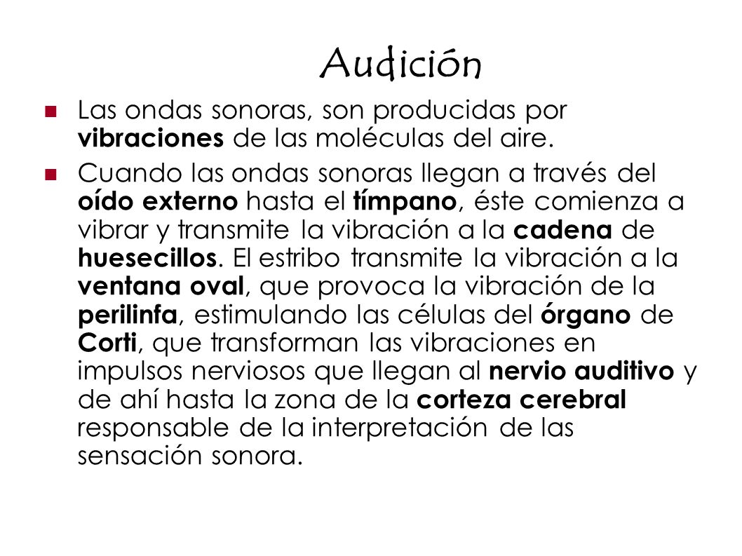 Audición Las ondas sonoras, son producidas por vibraciones de las moléculas del aire.