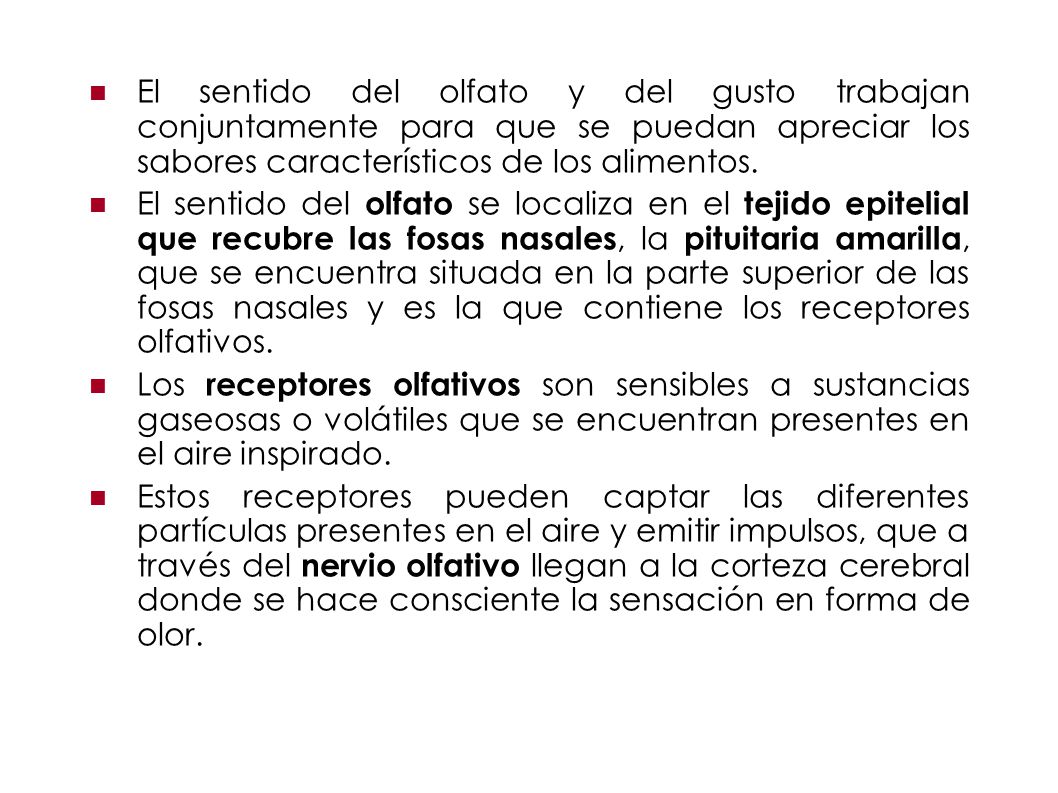 El sentido del olfato y del gusto trabajan conjuntamente para que se puedan apreciar los sabores característicos de los alimentos.