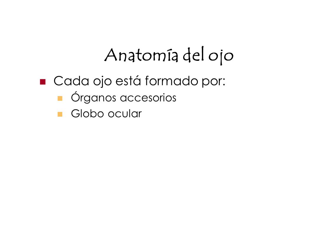 Anatomía del ojo Cada ojo está formado por: Órganos accesorios