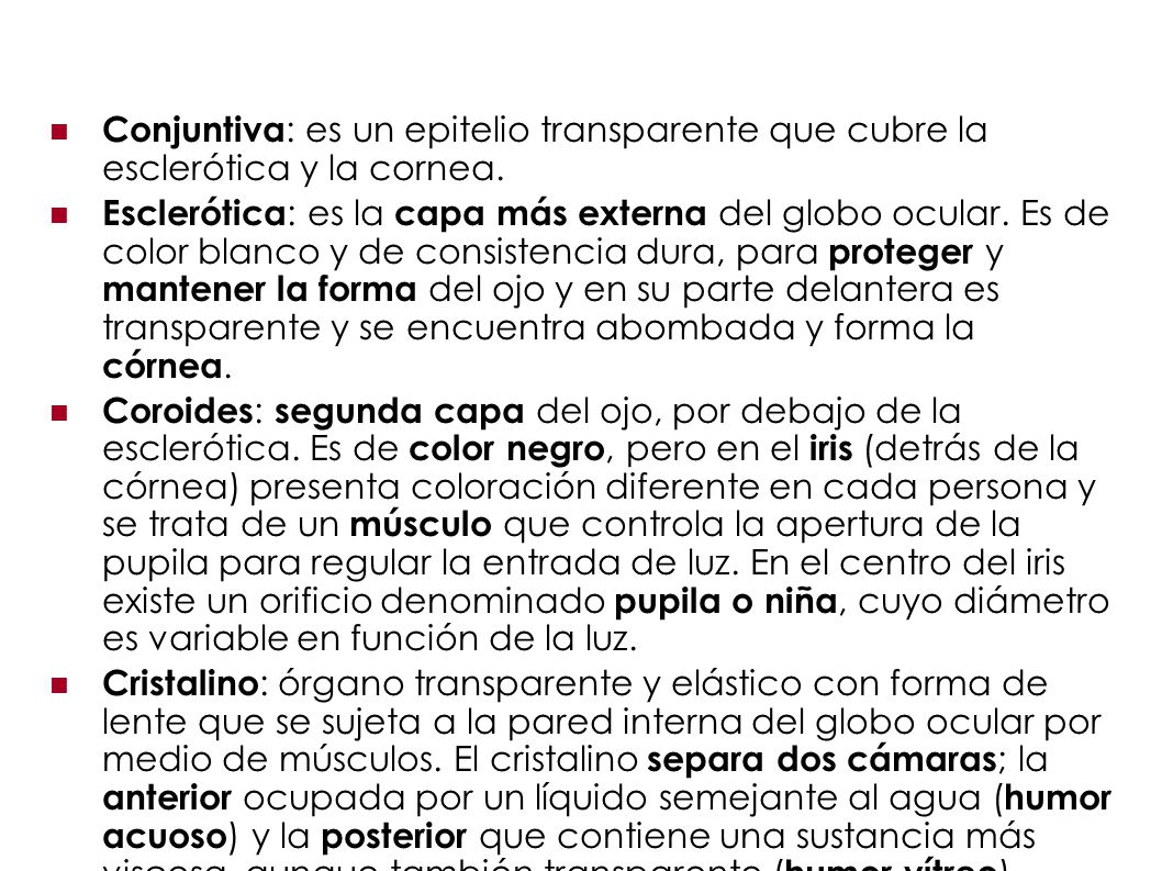 Conjuntiva: es un epitelio transparente que cubre la esclerótica y la cornea.