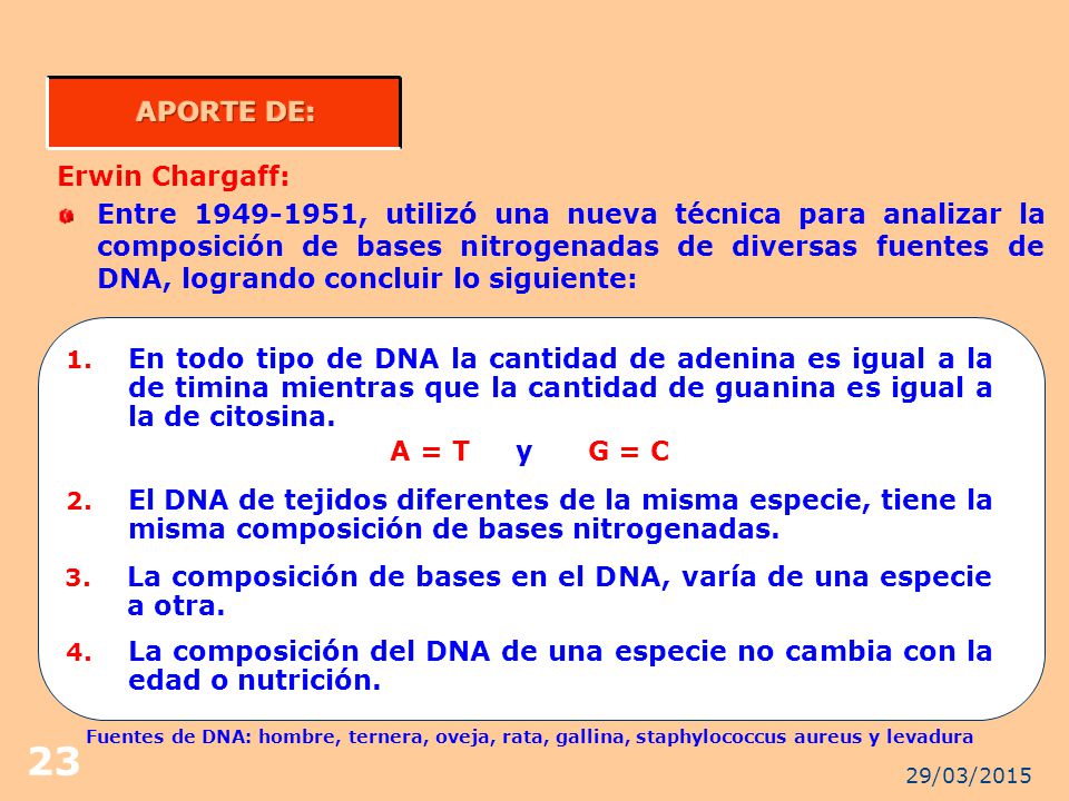 La composición de bases en el DNA, varía de una especie a otra.
