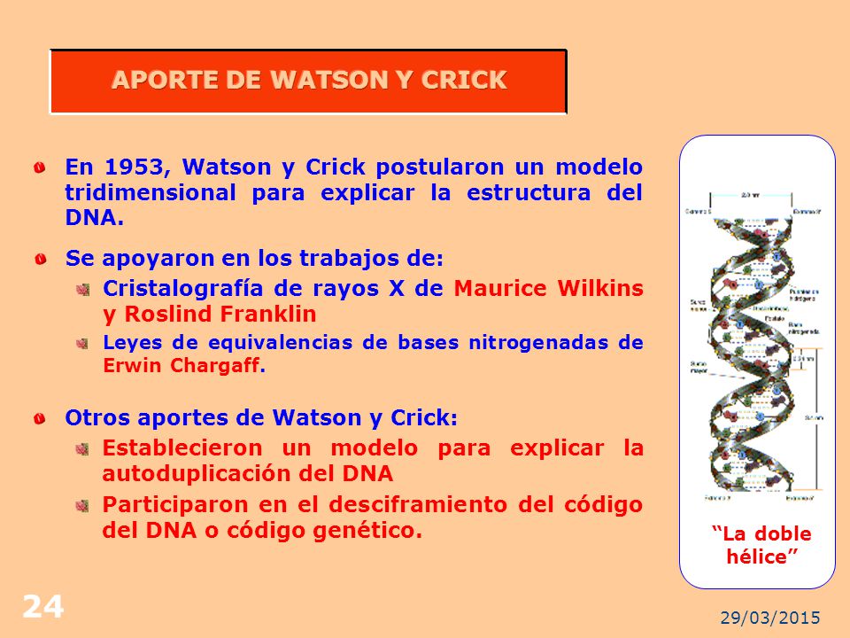 APORTE DE WATSON Y CRICK