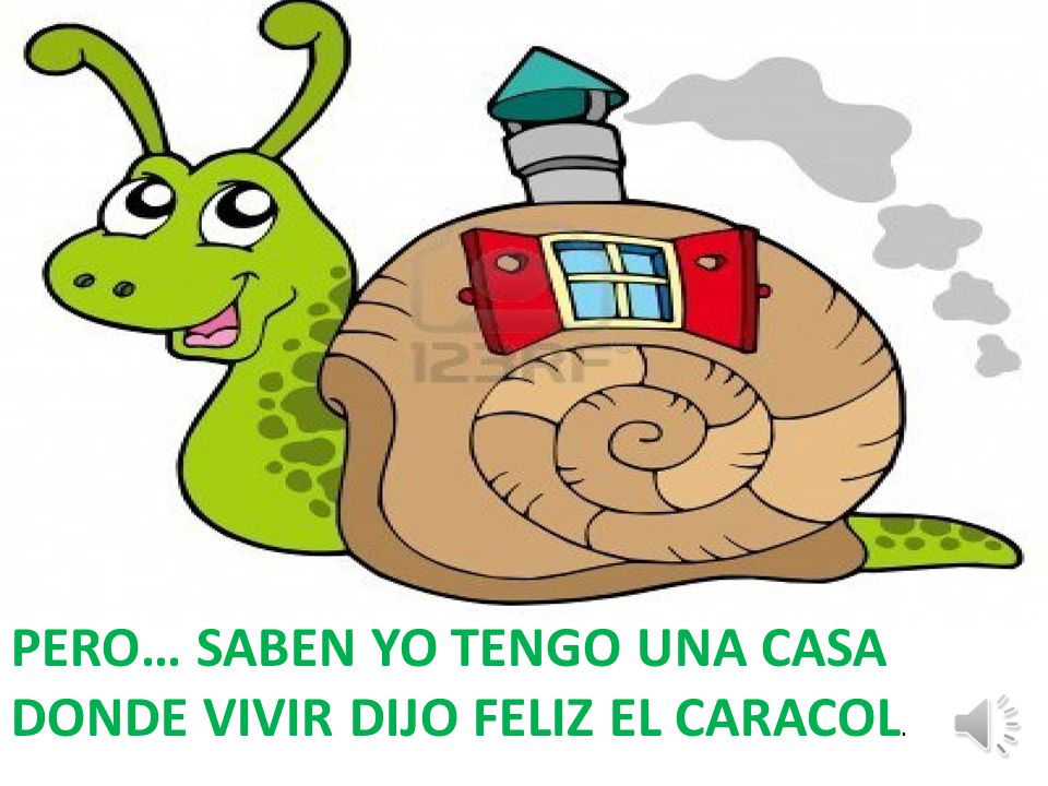 PERO… SABEN YO TENGO UNA CASA DONDE VIVIR DIJO FELIZ EL CARACOL.