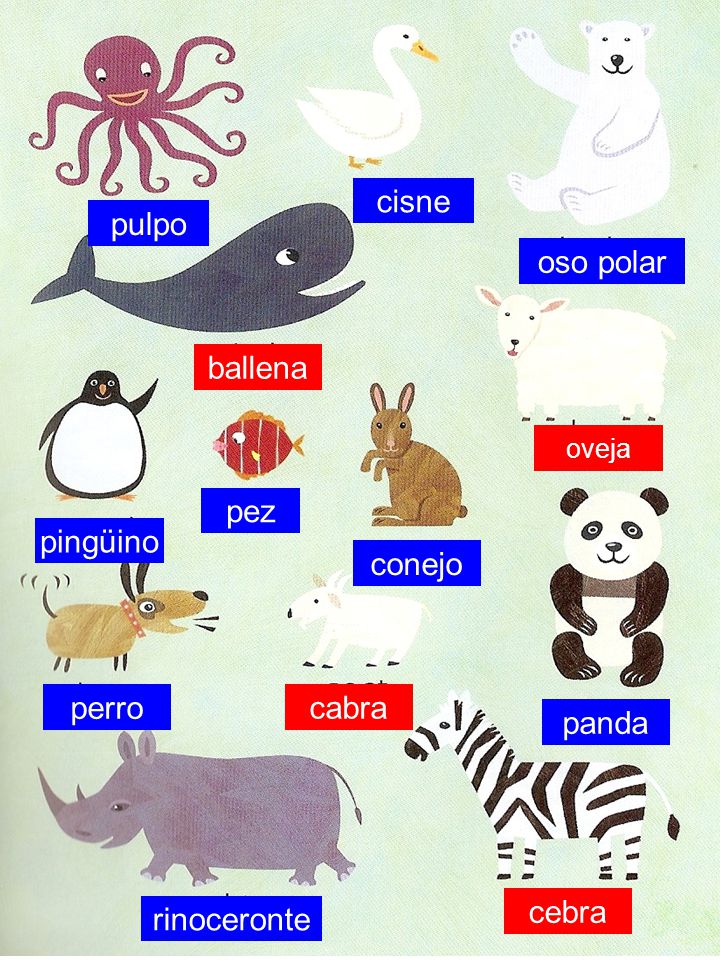 cisne pulpo oso polar ballena pez pingüino conejo perro cabra panda