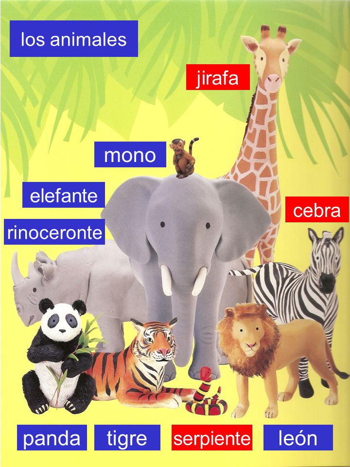 mono panda tigre león jirafa elefante cebra serpiente los animales