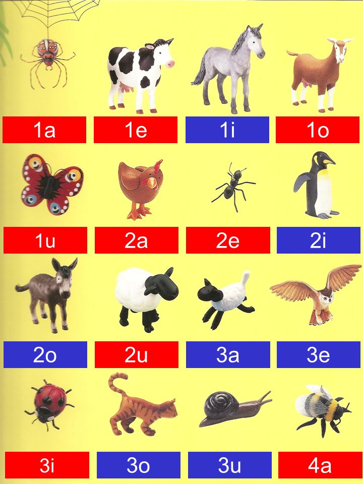 1a 1e 1i 1o 1u 2a 2e 2i 2o 2u 3a 3e 3i 3o 3u 4a
