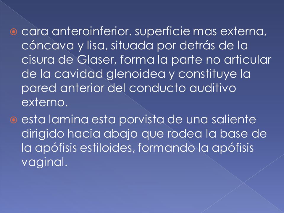 cara anteroinferior. superficie mas externa, cóncava y lisa, situada por detrás de la cisura de Glaser, forma la parte no articular de la cavidad glenoidea y constituye la pared anterior del conducto auditivo externo.