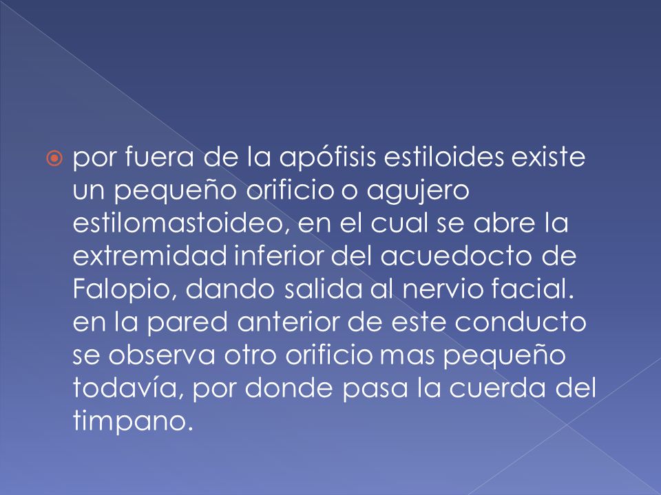 por fuera de la apófisis estiloides existe un pequeño orificio o agujero estilomastoideo, en el cual se abre la extremidad inferior del acuedocto de Falopio, dando salida al nervio facial.