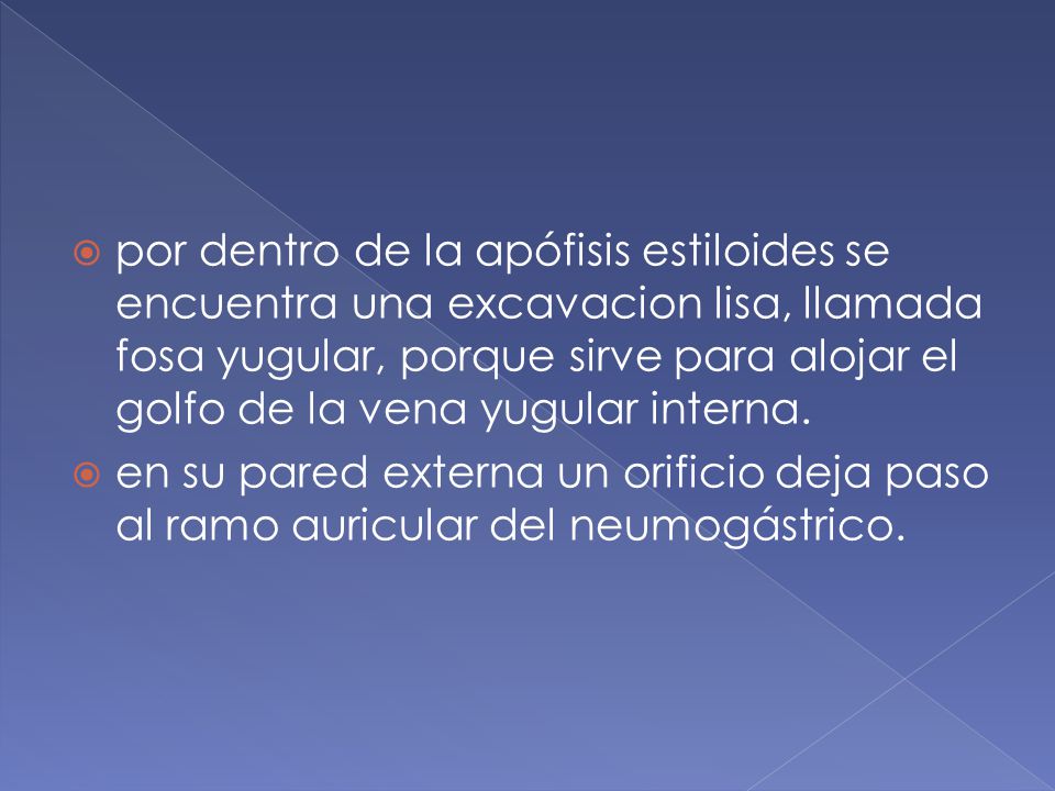 por dentro de la apófisis estiloides se encuentra una excavacion lisa, llamada fosa yugular, porque sirve para alojar el golfo de la vena yugular interna.