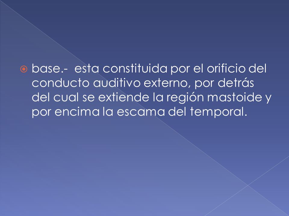 base.- esta constituida por el orificio del conducto auditivo externo, por detrás del cual se extiende la región mastoide y por encima la escama del temporal.
