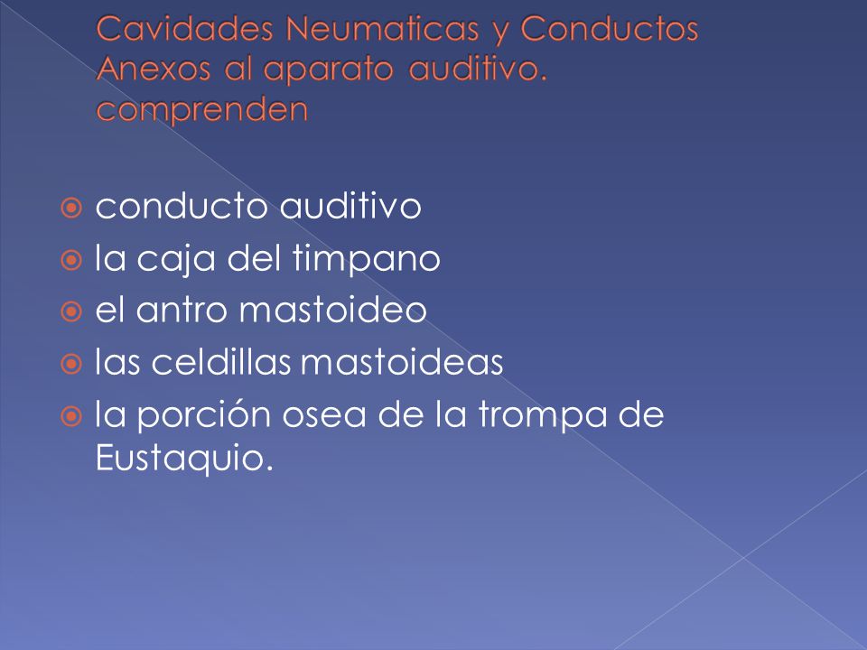 las celdillas mastoideas la porción osea de la trompa de Eustaquio.