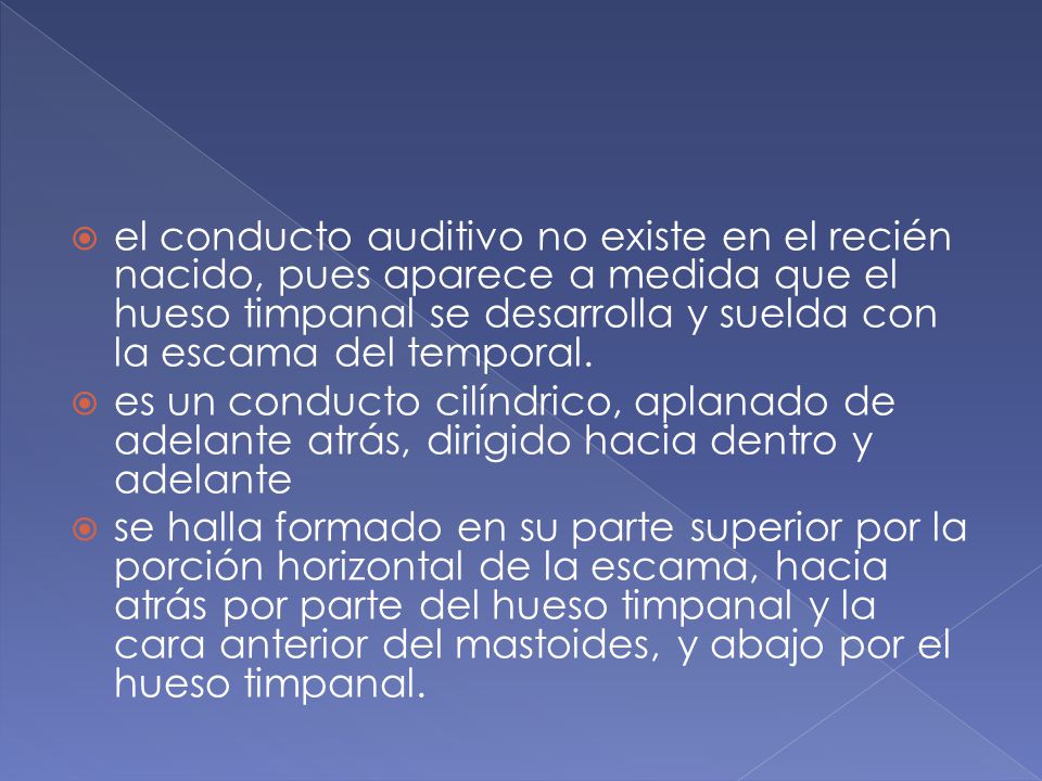 el conducto auditivo no existe en el recién nacido, pues aparece a medida que el hueso timpanal se desarrolla y suelda con la escama del temporal.