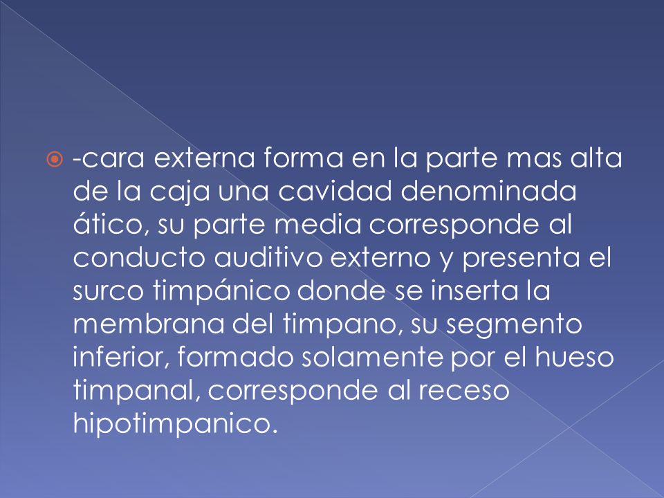 -cara externa forma en la parte mas alta de la caja una cavidad denominada ático, su parte media corresponde al conducto auditivo externo y presenta el surco timpánico donde se inserta la membrana del timpano, su segmento inferior, formado solamente por el hueso timpanal, corresponde al receso hipotimpanico.