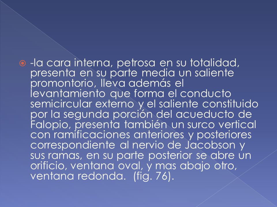 -la cara interna, petrosa en su totalidad, presenta en su parte media un saliente promontorio, lleva además el levantamiento que forma el conducto semicircular externo y el saliente constituido por la segunda porción del acueducto de Falopio, presenta también un surco vertical con ramificaciones anteriores y posteriores correspondiente al nervio de Jacobson y sus ramas, en su parte posterior se abre un orificio, ventana oval, y mas abajo otro, ventana redonda.