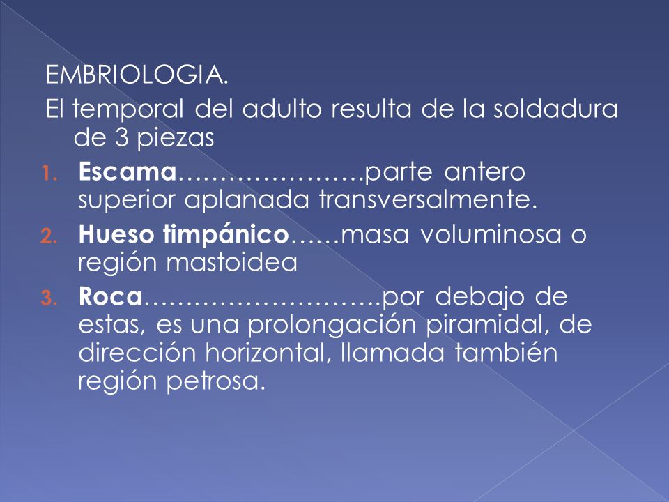EMBRIOLOGIA. El temporal del adulto resulta de la soldadura de 3 piezas. Escama………………….parte antero superior aplanada transversalmente.