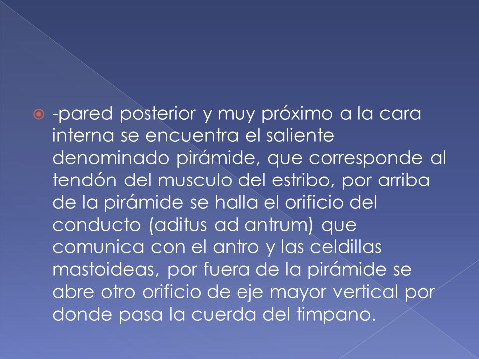 -pared posterior y muy próximo a la cara interna se encuentra el saliente denominado pirámide, que corresponde al tendón del musculo del estribo, por arriba de la pirámide se halla el orificio del conducto (aditus ad antrum) que comunica con el antro y las celdillas mastoideas, por fuera de la pirámide se abre otro orificio de eje mayor vertical por donde pasa la cuerda del timpano.