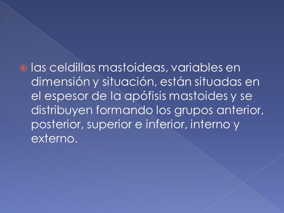 las celdillas mastoideas, variables en dimensión y situación, están situadas en el espesor de la apófisis mastoides y se distribuyen formando los grupos anterior, posterior, superior e inferior, interno y externo.