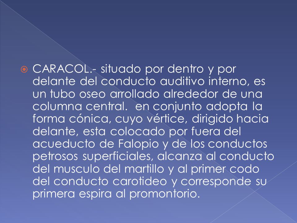 CARACOL.- situado por dentro y por delante del conducto auditivo interno, es un tubo oseo arrollado alrededor de una columna central.