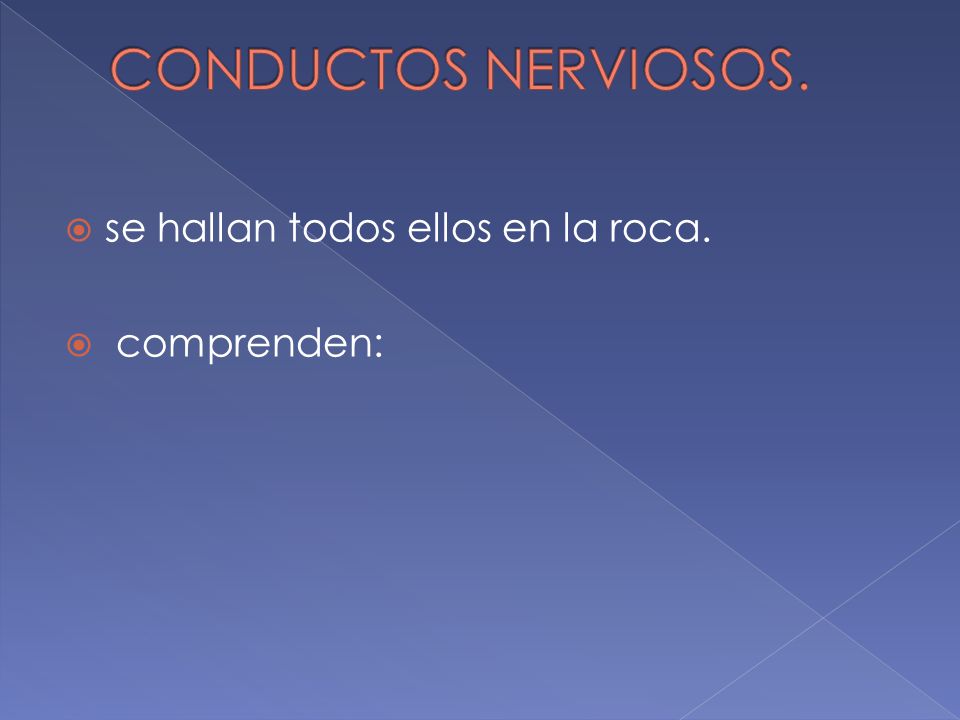 CONDUCTOS NERVIOSOS. se hallan todos ellos en la roca. comprenden: