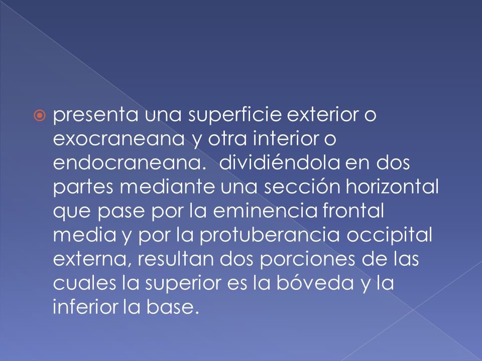 presenta una superficie exterior o exocraneana y otra interior o endocraneana.