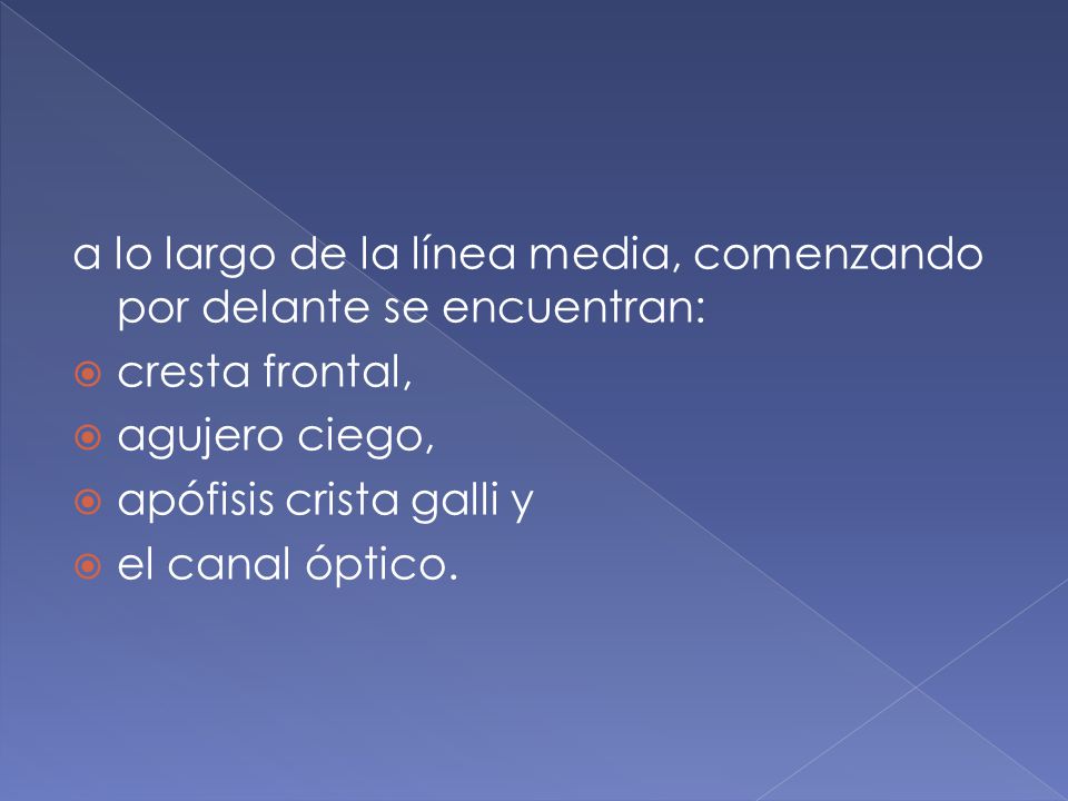 a lo largo de la línea media, comenzando por delante se encuentran: